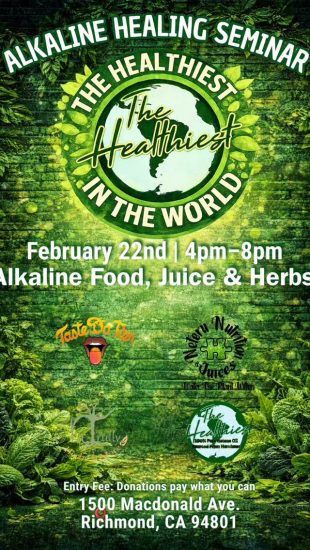 Alkaline Healing Seminar