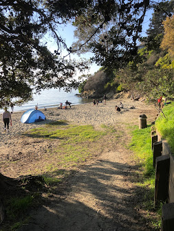 13th Annual Anti-Chevron Day